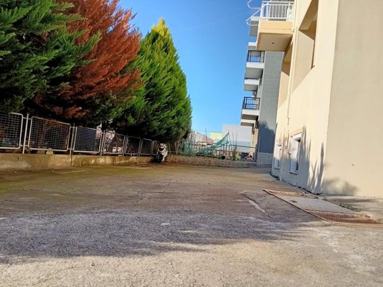 Apartment Semi-basement 250m From Sea, Nea Chili Alexandroupoli