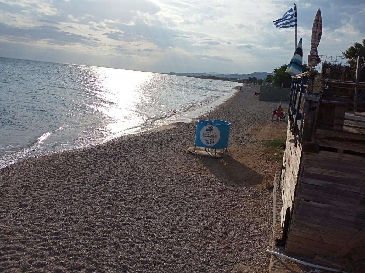 Apartment Semi-basement 250m From Sea, Nea Chili